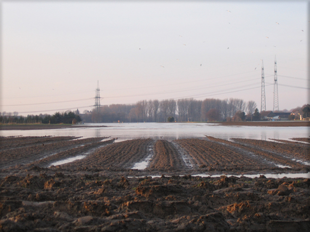 n_11_mk_kbw 2011.jpg